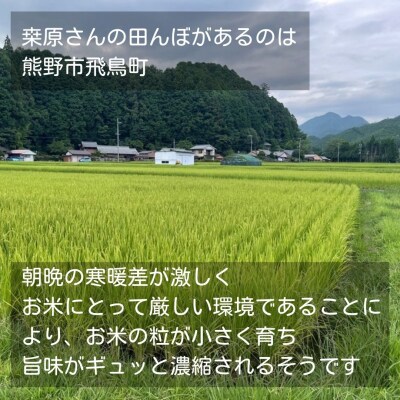 【令和8年新米】農家さんからのおすそわけ 飛鳥町 くわばらさんが作ったお米 15kg