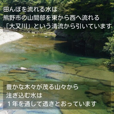 【令和8年新米】農家さんからのおすそわけ 飛鳥町 くわばらさんが作ったお米 30kg