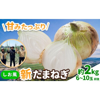 しお風 新たまねぎ 2kg 大きさ不揃い《5月中旬-6月上旬頃出荷》岡山県 笠岡市
