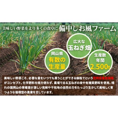 しお風 新たまねぎ 2kg 大きさ不揃い《5月中旬-6月上旬頃出荷》岡山県 笠岡市