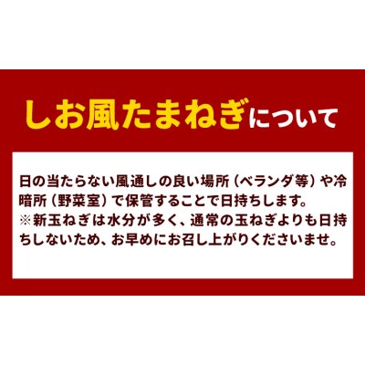しお風 新たまねぎ 2kg 大きさ不揃い《5月中旬-6月上旬頃出荷》岡山県 笠岡市