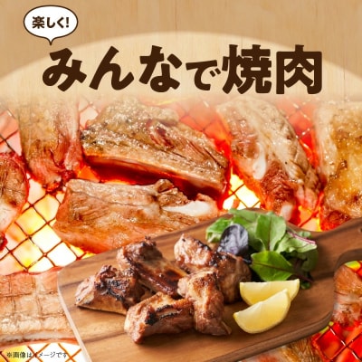 “三州あおみ豚” 焼肉セット 計1.5kg(肩ロース&豚バラ&スペアリブ)H030-017
