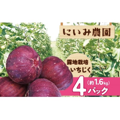 【露地栽培】朝もぎ フレッシュな完熟いちじく　H031-010