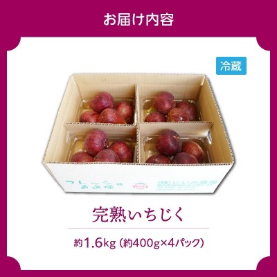 【露地栽培】朝もぎ フレッシュな完熟いちじく　H031-010