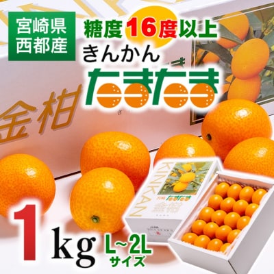 産きんかんたまたま1kg糖度16度以上