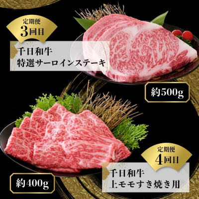 【数量限定】★肉の至宝★ 山形牛【千日和牛】旨味とろける極撰和牛10ヶ月定期便