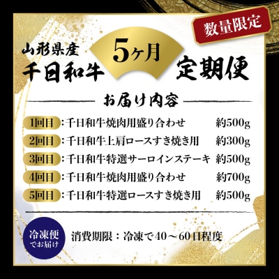 【数量限定】★肉の至宝★ 山形牛【千日和牛】旨味とろける極撰和牛5ヶ月定期便