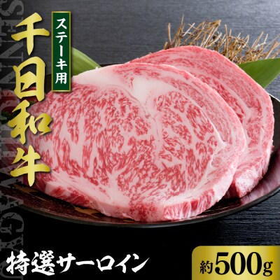 千日和牛特選サーロインステーキ 約500g(山形牛)　