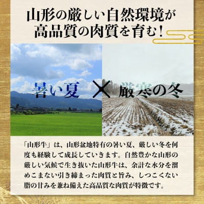 【松月 厳選】山形牛サーロインステーキ 600g(300g×2枚) ka011-030a001