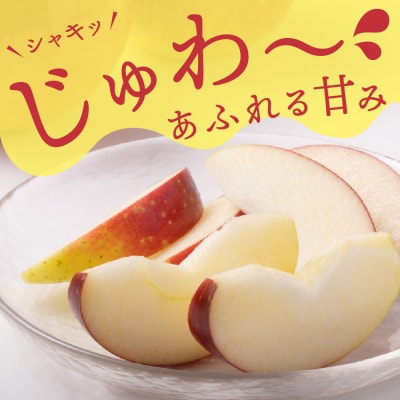 【令和8年産】ふじりんご 5kg 丸秀 山形県産 【JAさがえ西村山】 ka008-018e-r8