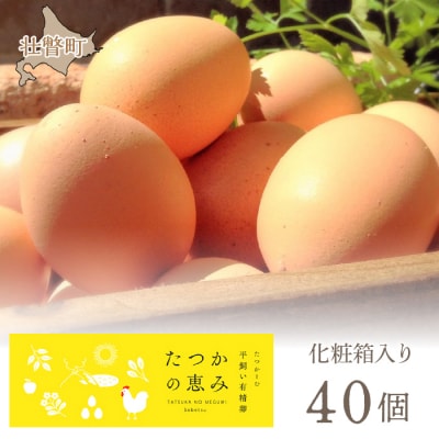 平飼い有精卵『たつかの恵み』40個 SBTT011