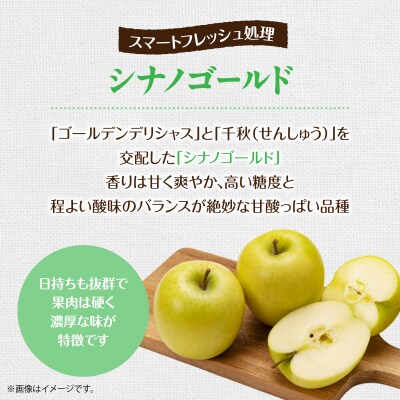 北海道壮瞥町りんご(スマートフレッシュ)品種名「シナノゴールド」8～10玉約3kg SBTF028