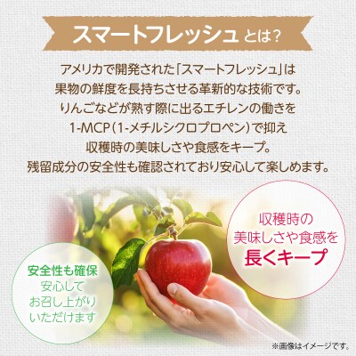 北海道壮瞥町りんご(スマートフレッシュ)品種名「シナノゴールド」8～10玉約3kg SBTF028