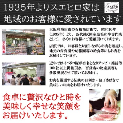 スエヒロ家 鹿児島黒豚100%手作りハンバーグ 110g×3個(冷凍)