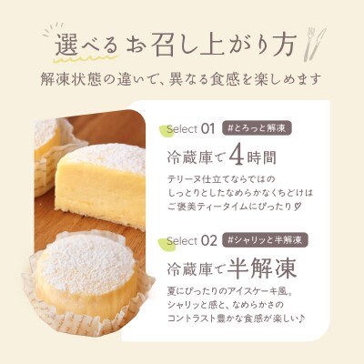 【INFINI】チーズケーキKANKAN