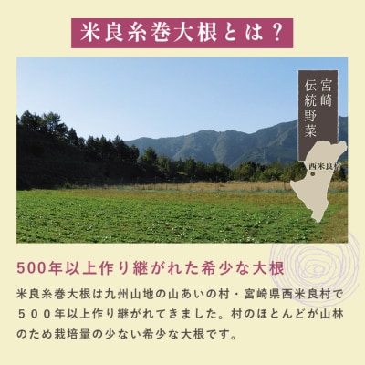 【ふるさと納税】米良糸巻大根 切り干し 20g×7袋セット 伝統野菜 切り干し九州 宮崎県 西米良村