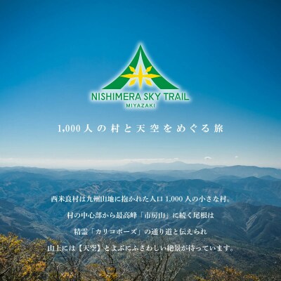 【ふるさと納税】西米良スカイトレイル バーティカルコース 参加券 1名様　スポーツ イベント