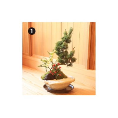 養庄園 季節の寄せ植え盆栽