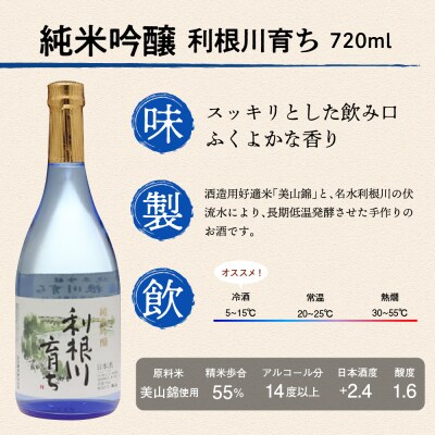 日本酒 清酒 【利根川育ち】 地酒 セット  ＜山川酒造＞ ch007-002rr