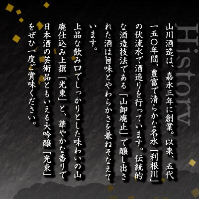 日本酒 大吟醸 清酒 【光東】 地酒 セット  ＜山川酒造＞ ch007-001rr
