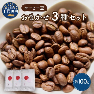 コーヒー豆 おまかせ セット (100g×3種類) ch029-001rr