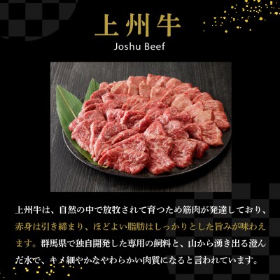 牛肉 ロース 上州牛 1.0kg(500g×2パック) ch013-005rrr