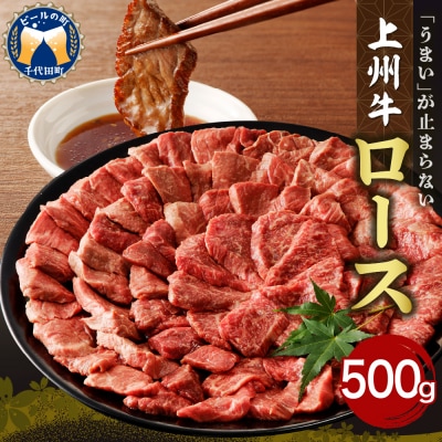 牛肉 ロース 上州牛 500g 上州牛ロース ch013-005rhrr