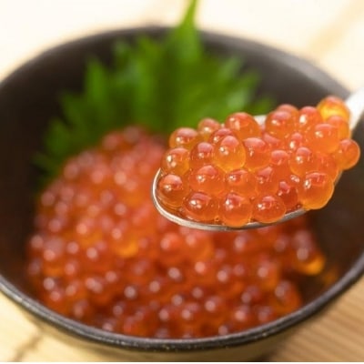 【北海道根室産】醤油イクラ100g×8P C-66014