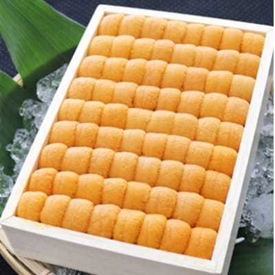 エゾバフンウニ弁当並べ詰め250g×2折[11月中旬以降発送] E-71030