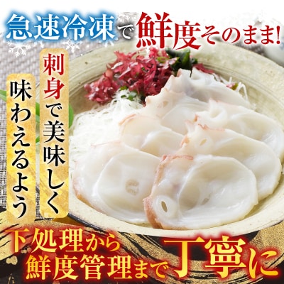 【北海道根室産】お刺身用たこ足2本(計2～2.5kg) C-30069