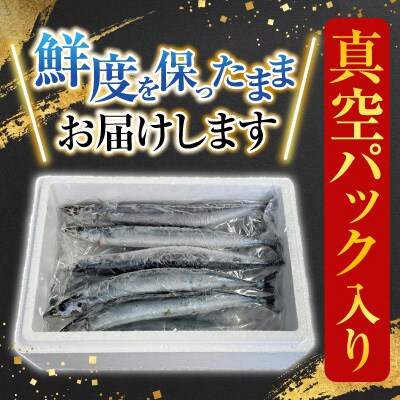 【北海道根室産】冷凍さんま30尾 B-36005
