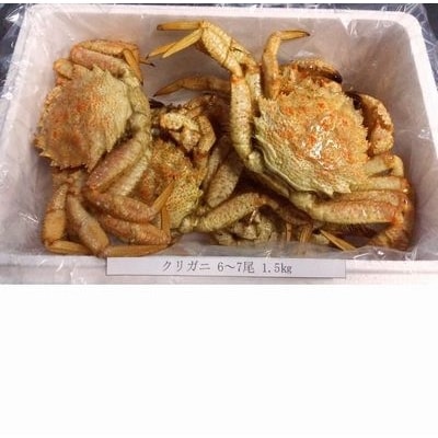 【北海道根室産】クリガニ6～7尾(計1.5kg) A-57022