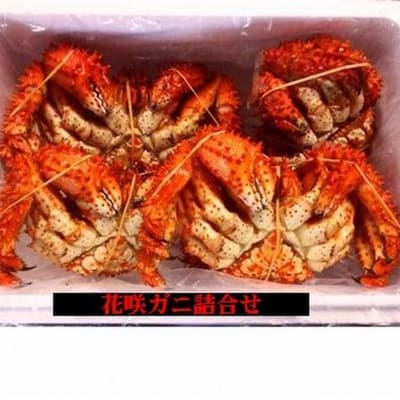 【北海道根室産】花咲ガニ3～5尾(チルド便) A-57026