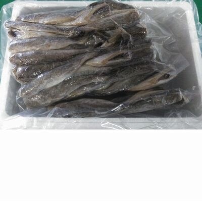 【北海道根室産】生干しこまい500g×4P A-57033