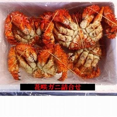【北海道根室産】花咲ガニ510～600g×4尾 B-57003