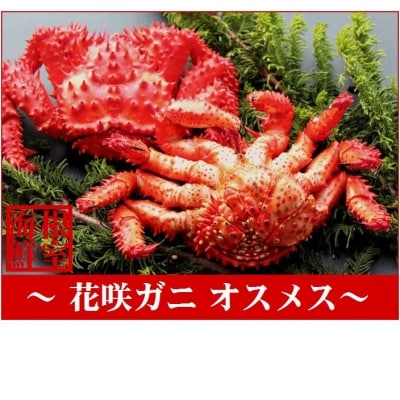 【北海道根室産】花咲ガニオスメス各1尾(計1.3kg前後) B-57006
