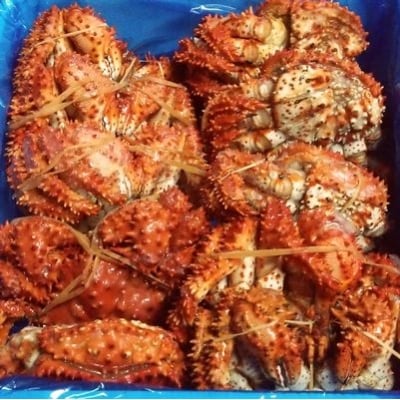 【北海道根室産】花咲ガニ10～12尾(計4kg) C-57006