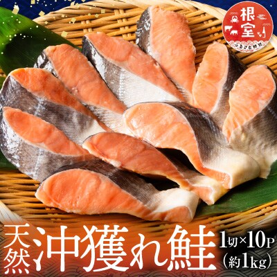 根室海鮮市場＜直送＞天然沖獲れ鮭1切×10P(約1kg) B-28060