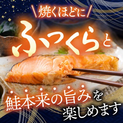 根室海鮮市場＜直送＞天然沖獲れ鮭1切×10P(約1kg) B-28060