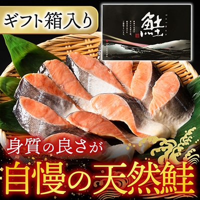 天然沖獲れ鮭1切×10P(約1kg) B-14062