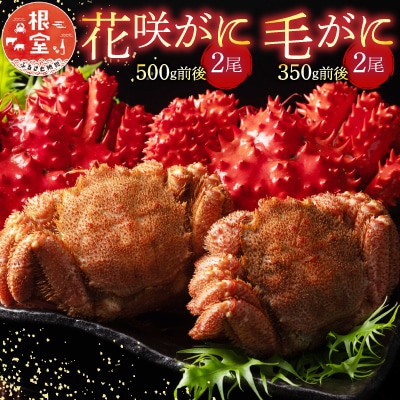 花咲がに2尾、毛がに2尾セット C-54005