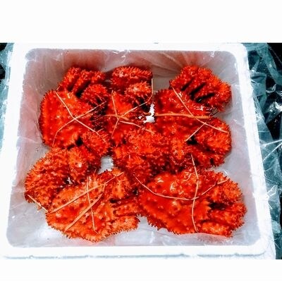 【北海道根室産】花咲ガニ300～400g×5尾 B-57016