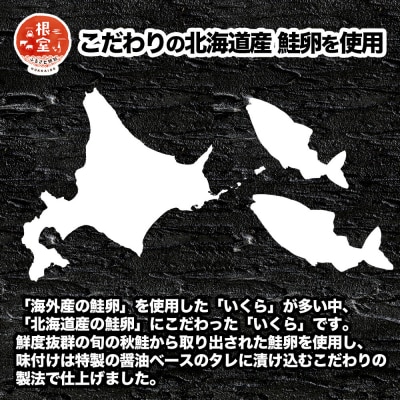 秋鮭いくら100g×6P(計600g) D-24001
