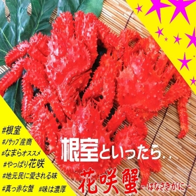 【北海道根室産】花咲ガニ4～6尾(計2.8kg以上) D-59016