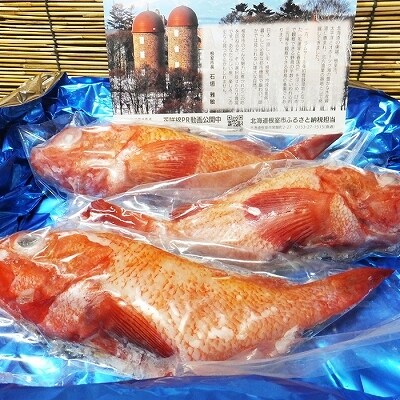 【北海道根室産】キンキ(下ごしらえ済)×3尾 C-72001