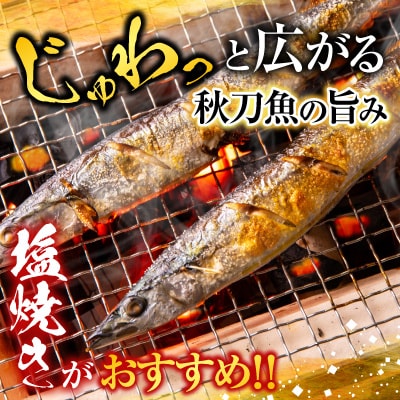 甘塩紅鮭5切×4P・冷凍生さんま5尾入×4Pセット C-70015