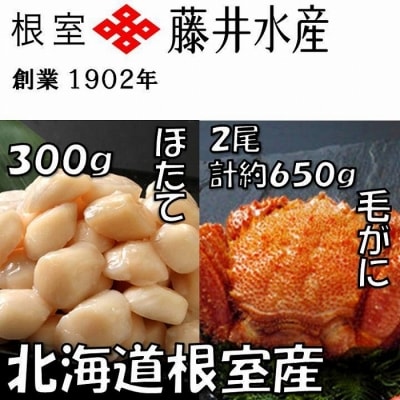 【北海道根室産】お刺身帆立貝柱300g、毛がに2尾(計約650g) B-42074