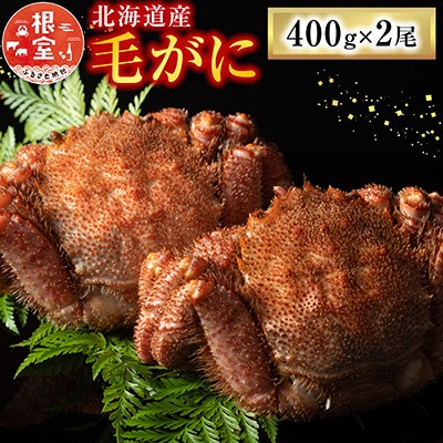 【年内配送可○】毛がに400g×2尾 B-54009