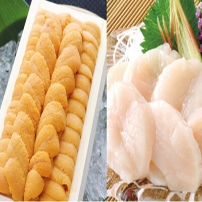 エゾバフンウニ140g×1折、お刺身ホタテ貝柱500g×1P[11月下旬以降発送] D-53029