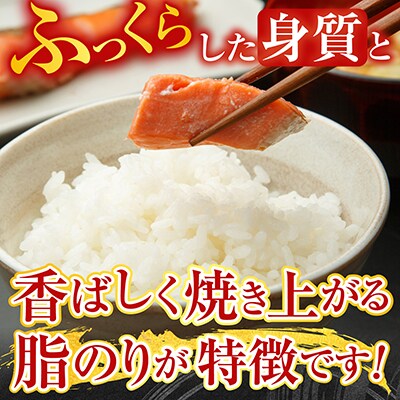 【北海道根室産】紅鮭切身1切×10P B-42092